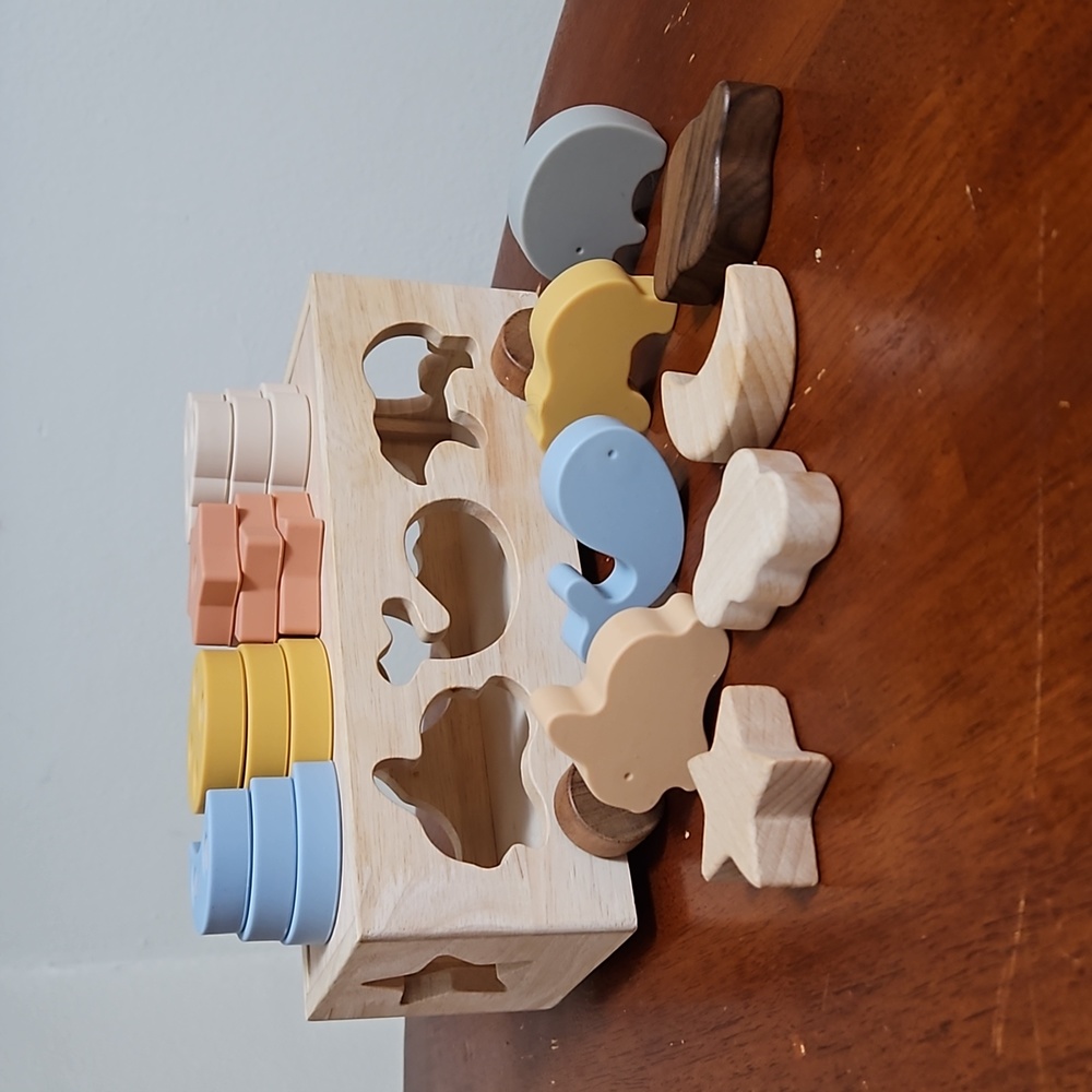 Montessori toddler shape sorter and puzzle